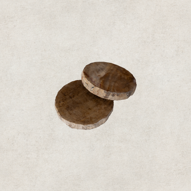 Petrified Brown Coaster Round - Set of 4