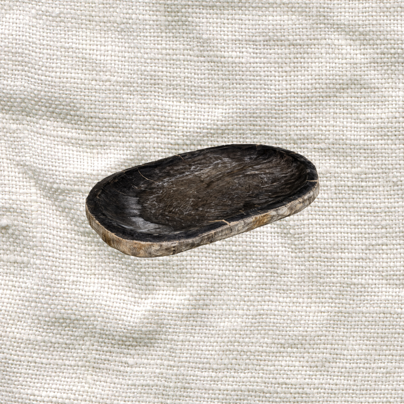 Black Petrified Wood Tray