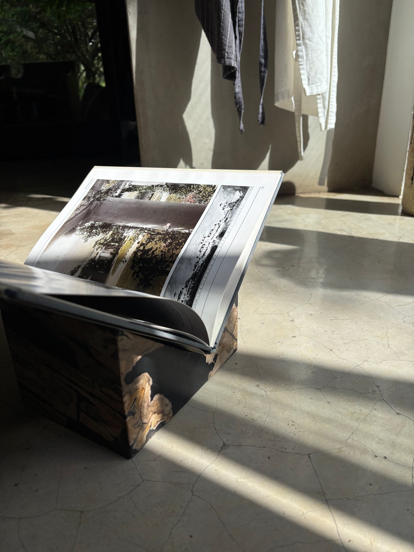 Petrified Wood Book Holder