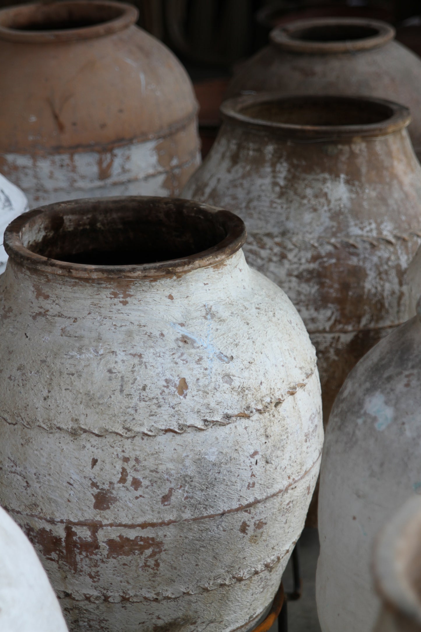 Belted Pot 2
