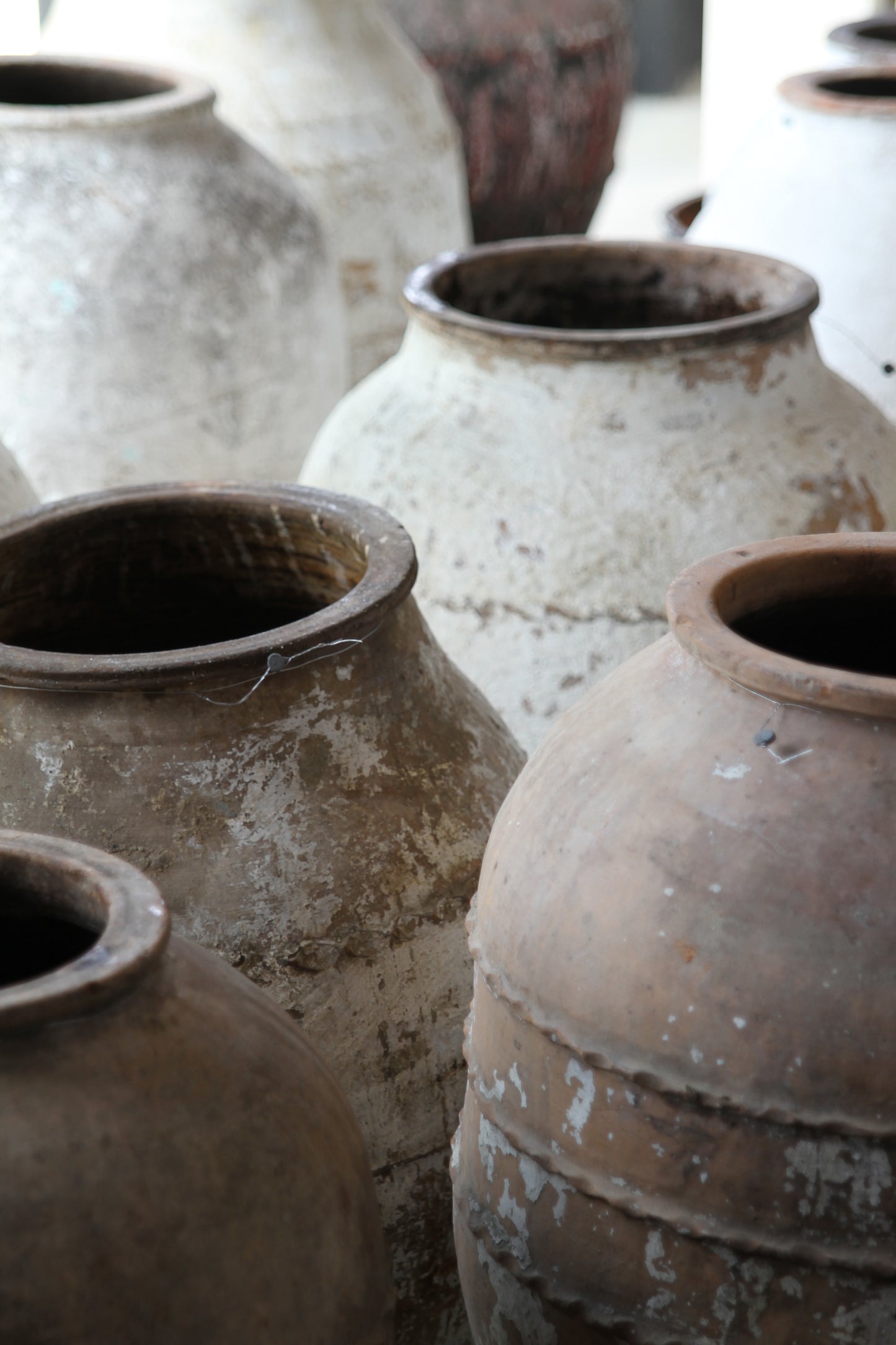 Belted Pot 2
