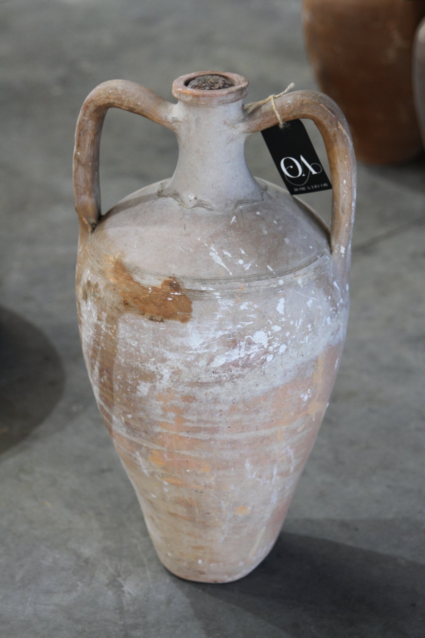 Long Neck Vase