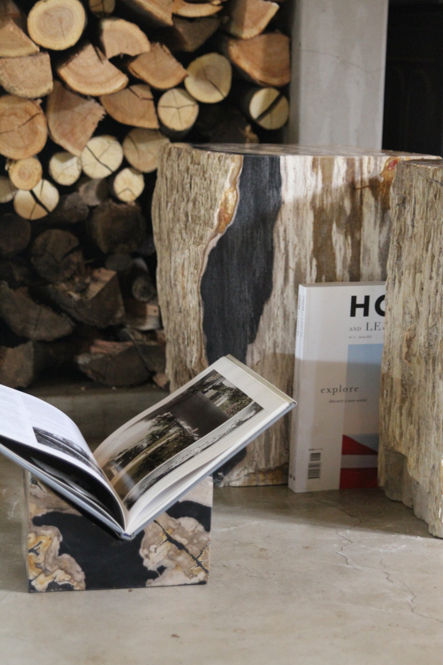 Petrified Wood Book Holder