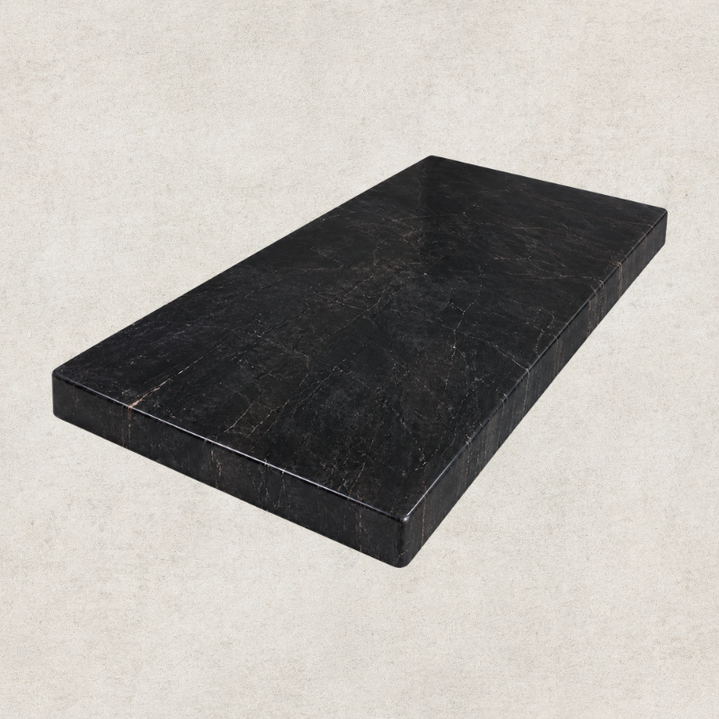 Smooth Black Petrified Wood Table Top