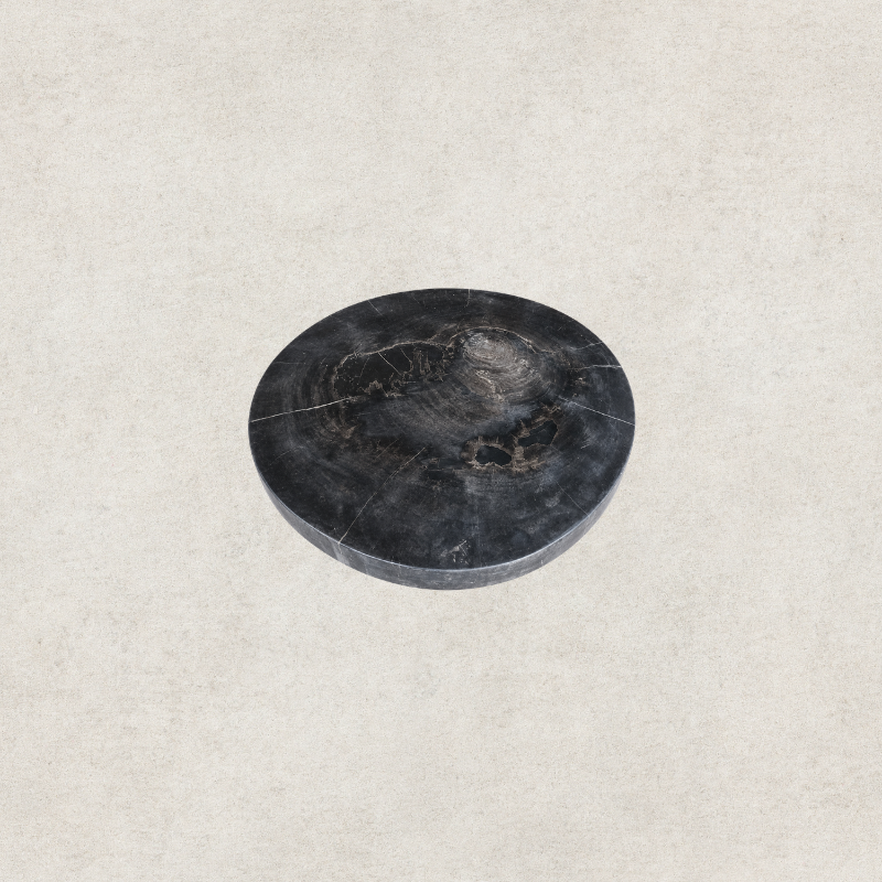 Round Black Petrified Wood Tabletop - Small