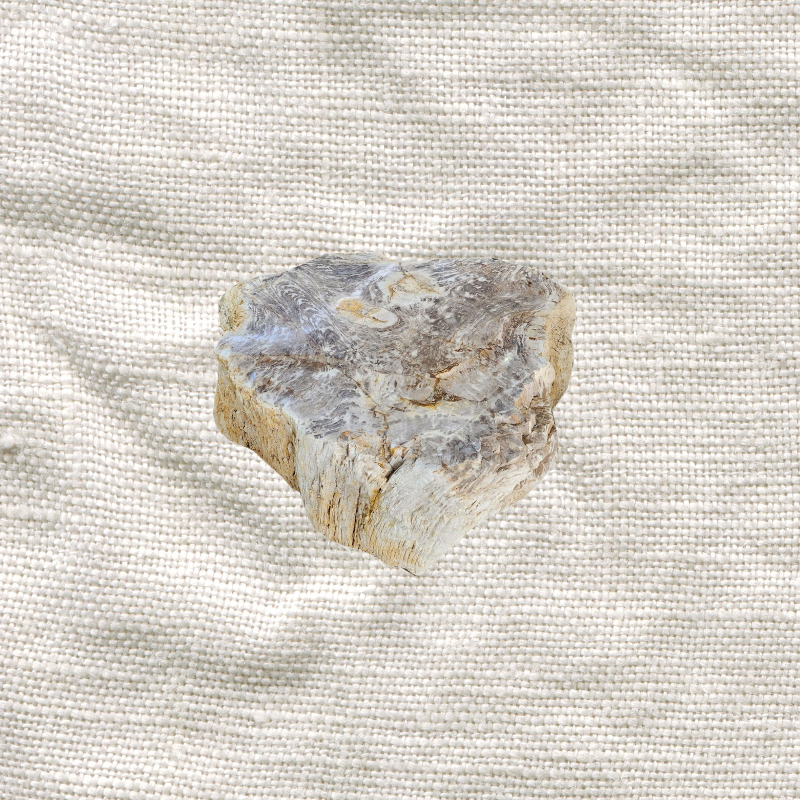 Petrified Wood Solid Coffee Table