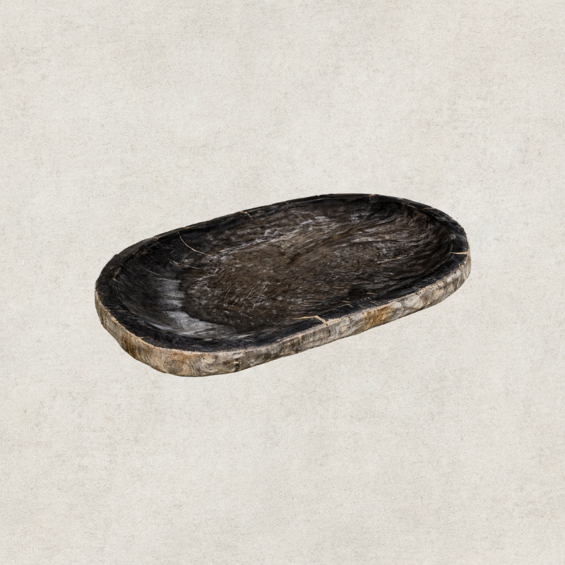 Black Petrified Wood Tray
