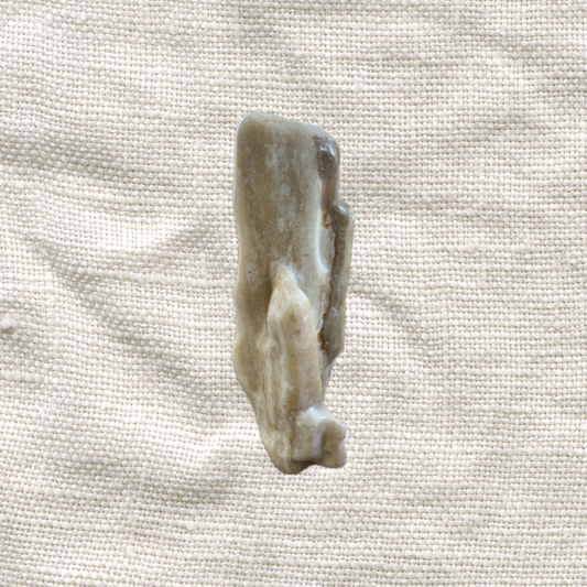 Amber Onyx Objet 1
