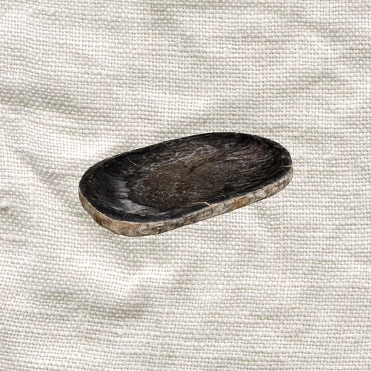 Black Petrified Wood Tray