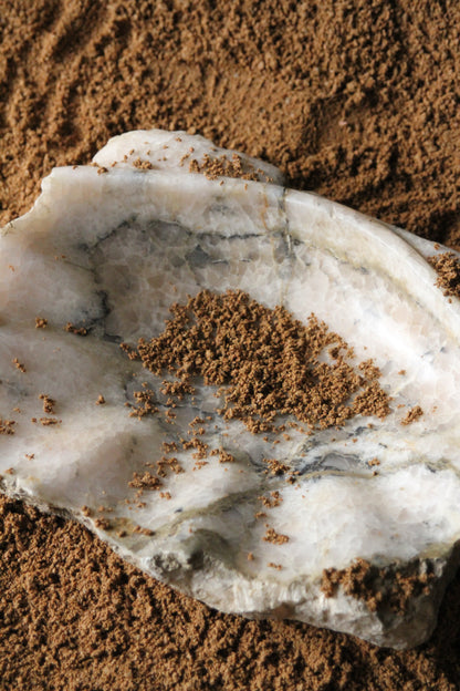 Fossilized Onyx Basin