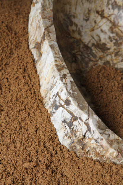 Petrified Wood Basin