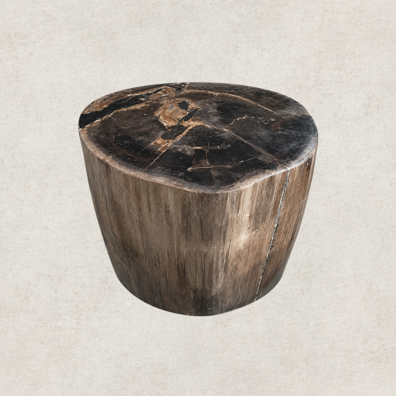 Black Petrified Wood Side Table