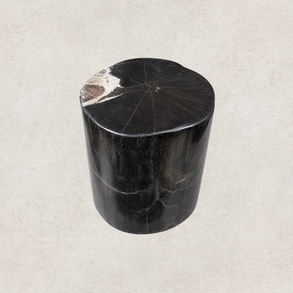 Black Petrified Wood Side Table