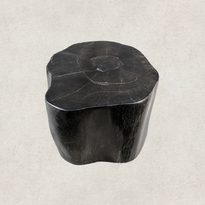 Black Petrified Wood Side Table