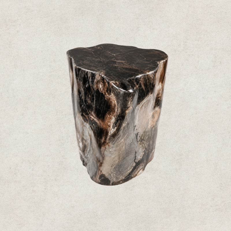 Black Petrified Wood Side Table